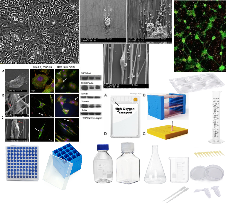 T225 Cell Culture Flask