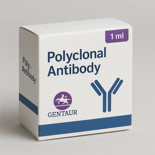 anti-MTMR15 antibody