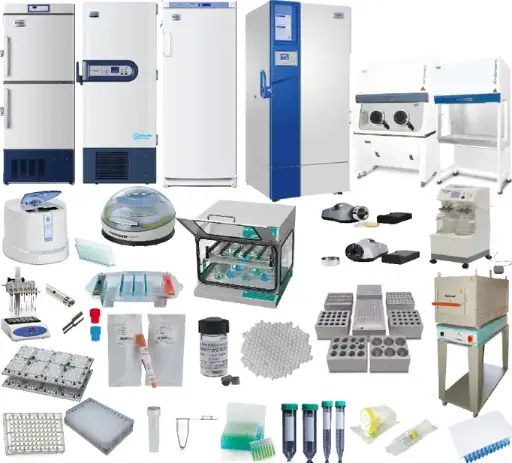 [ELH-Eotaxin3-1] Custom Human Eotaxin-3/CCL27 ELISA Kit 1 x 96 well strip plate