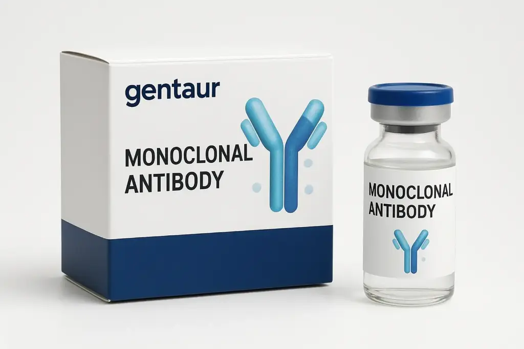 [A74202-050] TP63 Recombinant Monoclonal Antibody [4B3]